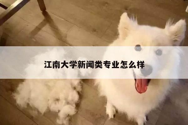 江南大学新闻类专业怎么样