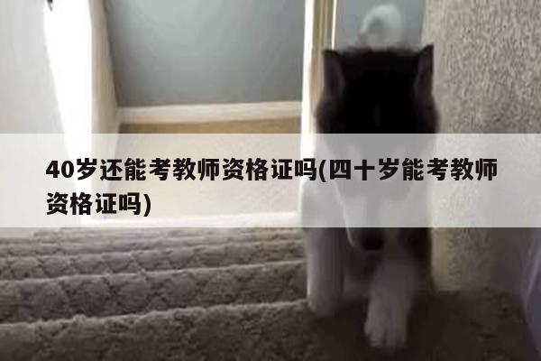 40岁还能考教师资格证吗(四十岁能考教师资格证吗)