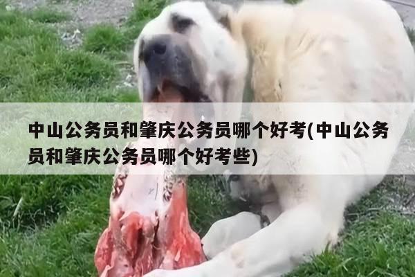 中山公务员和肇庆公务员哪个好考(中山公务员和肇庆公务员哪个好考些)