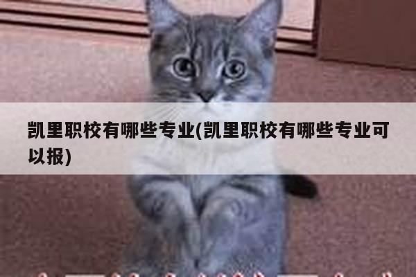 凯里职校有哪些专业(凯里职校有哪些专业可以报)