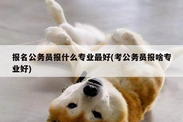 报名公务员报什么专业最好(考公务员报啥专业好)