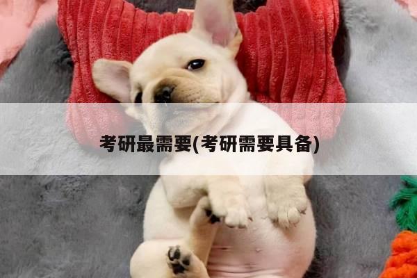 考研最需要(考研需要具备)