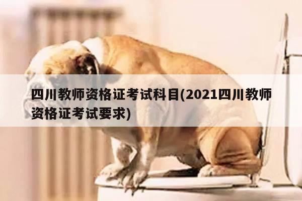 四川教师资格证考试科目(2021四川教师资格证考试要求)