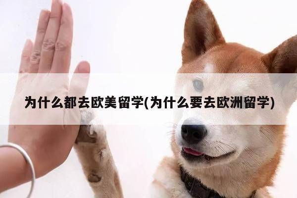 为什么都去欧美留学(为什么要去欧洲留学)