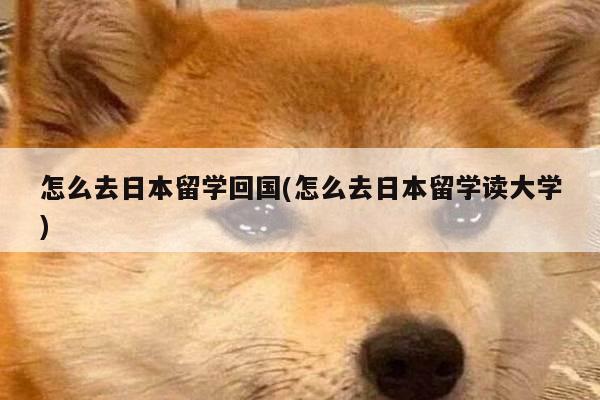 怎么去日本留学回国(怎么去日本留学读大学)