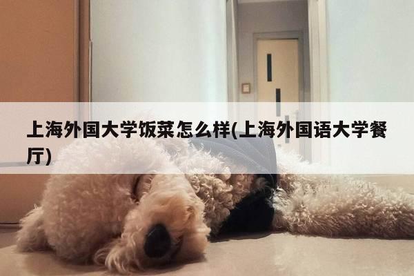 上海外国大学饭菜怎么样(上海外国语大学餐厅)