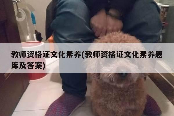 教师资格证文化素养(教师资格证文化素养题库及答案)