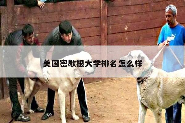 美国密歇根大学排名怎么样
