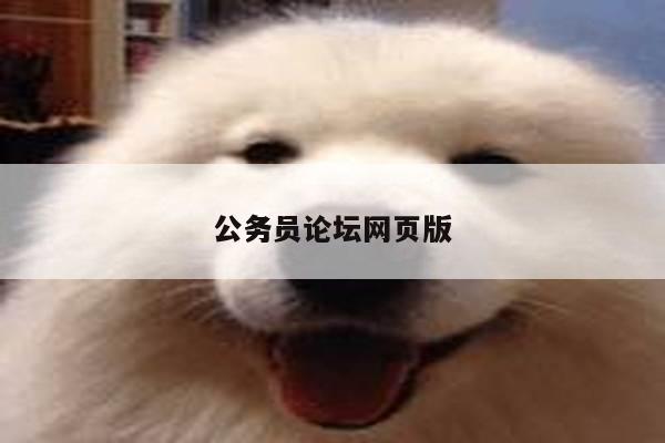 公务员论坛网页版