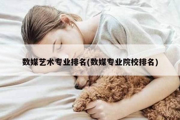 数媒艺术专业排名(数媒专业院校排名)