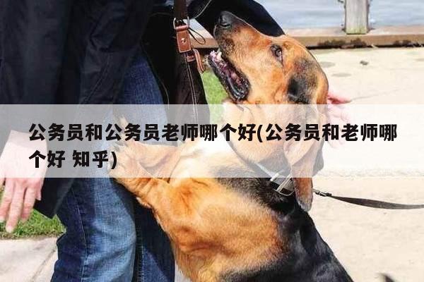 公务员和公务员老师哪个好(公务员和老师哪个好 知乎)