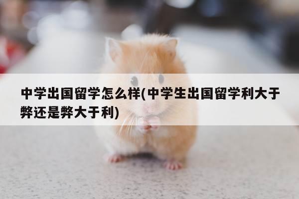 中学出国留学怎么样(中学生出国留学利大于弊还是弊大于利)