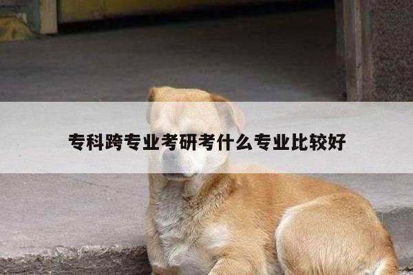 专科跨专业考研考什么专业比较好