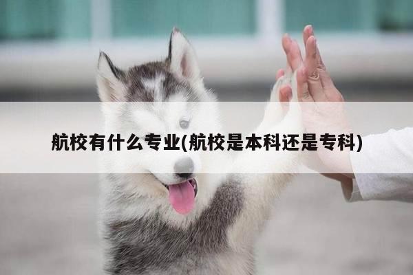 航校有什么专业(航校是本科还是专科)