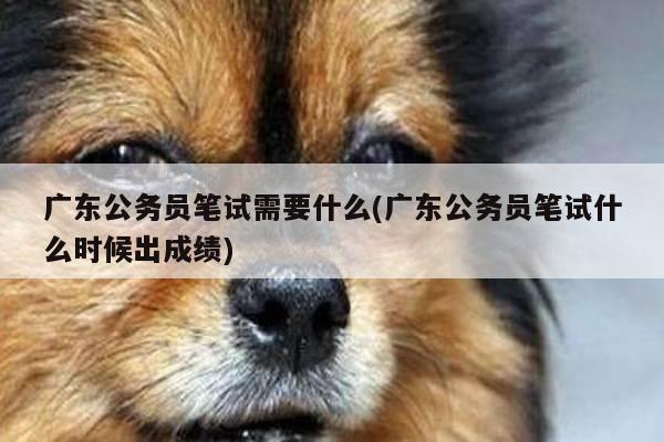 广东公务员笔试需要什么(广东公务员笔试什么时候出成绩)