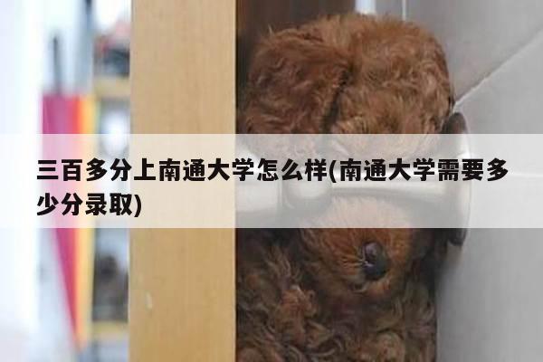 三百多分上南通大学怎么样(南通大学需要多少分录取)