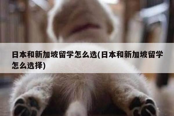 日本和新加坡留学怎么选(日本和新加坡留学怎么选择)