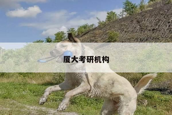 厦大考研机构