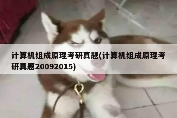 计算机组成原理考研真题(计算机组成原理考研真题20092015)