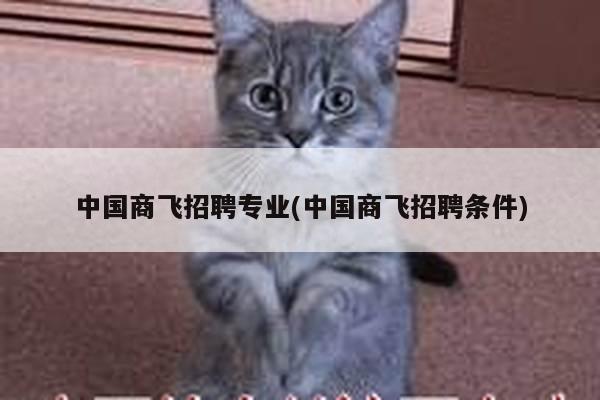 中国商飞招聘专业(中国商飞招聘条件)