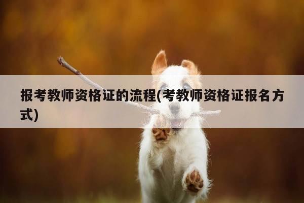 报考教师资格证的流程(考教师资格证报名方式)