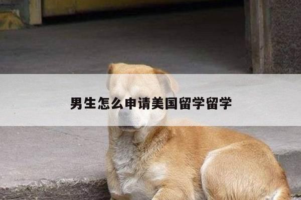 男生怎么申请美国留学留学