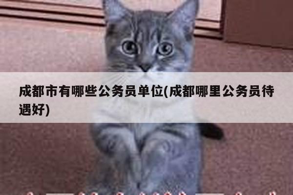 成都市有哪些公务员单位(成都哪里公务员待遇好)