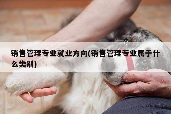 销售管理专业就业方向(销售管理专业属于什么类别)