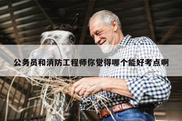 公务员和消防工程师你觉得哪个能好考点啊
