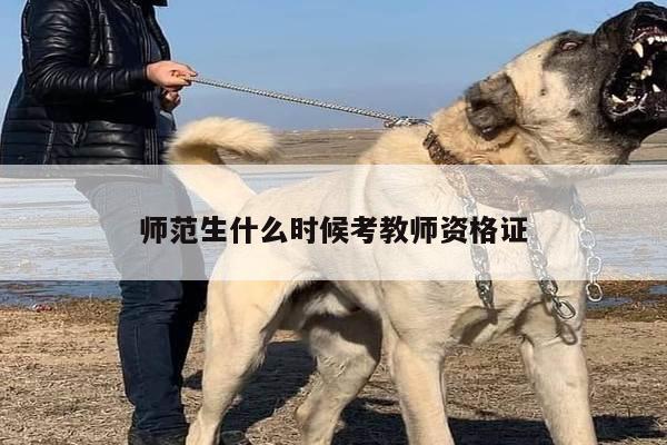 师范生什么时候考教师资格证