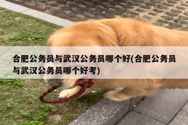 合肥公务员与武汉公务员哪个好(合肥公务员与武汉公务员哪个好考)