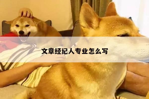 文章经纪人专业怎么写