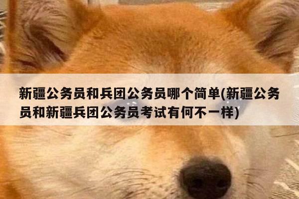 新疆公务员和兵团公务员哪个简单(新疆公务员和新疆兵团公务员考试有何不一样)