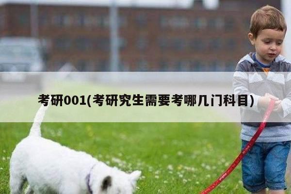 考研001(考研究生需要考哪几门科目)