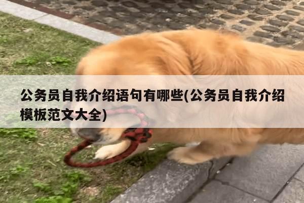 公务员自我介绍语句有哪些(公务员自我介绍模板范文大全)