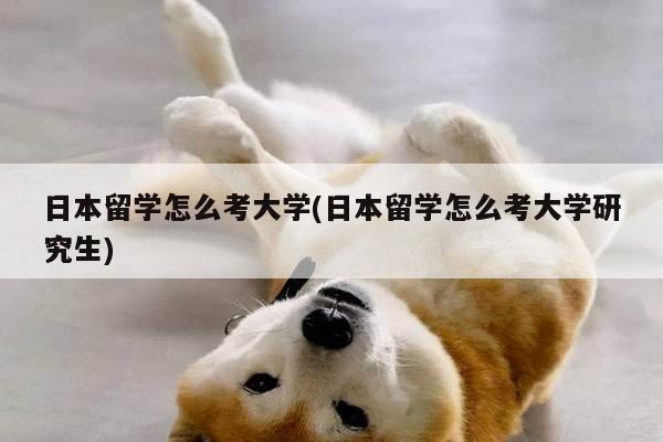 日本留学怎么考大学(日本留学怎么考大学研究生)