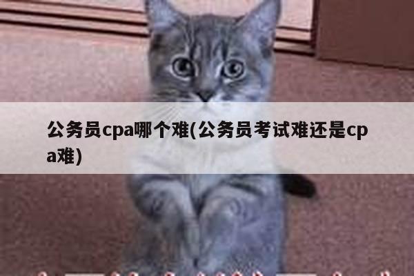 公务员cpa哪个难(公务员考试难还是cpa难)