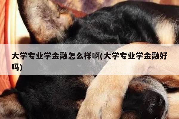 大学专业学金融怎么样啊(大学专业学金融好吗)