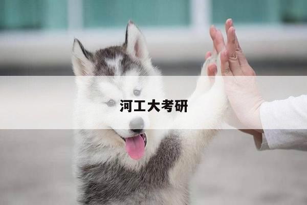 河工大考研