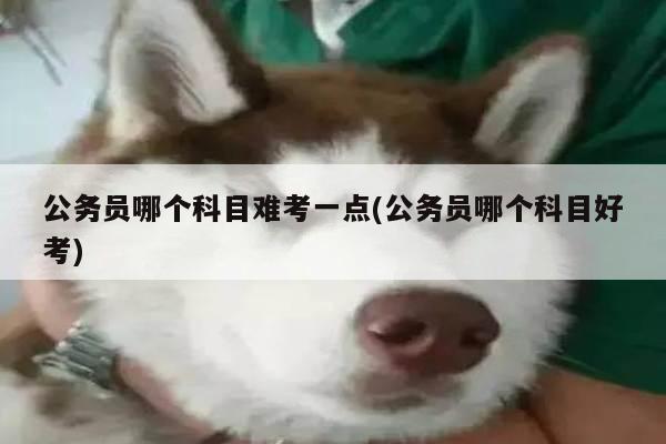 公务员哪个科目难考一点(公务员哪个科目好考)
