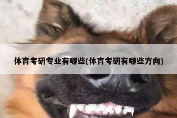 体育考研专业有哪些(体育考研有哪些方向)