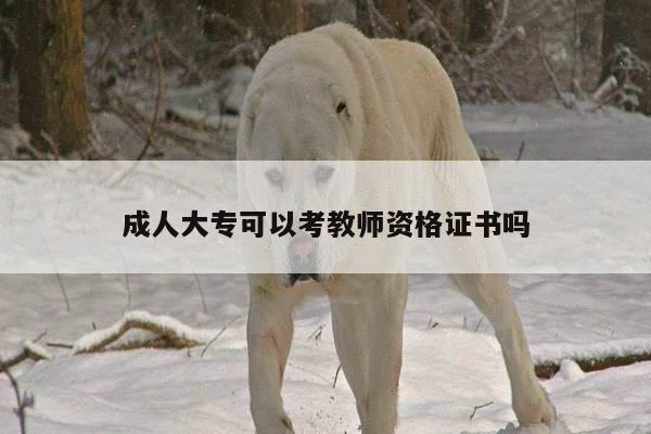 成人大专可以考教师资格证书吗