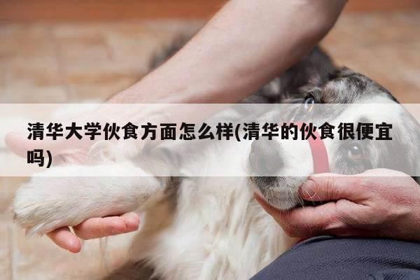 清华大学伙食方面怎么样(清华的伙食很便宜吗)