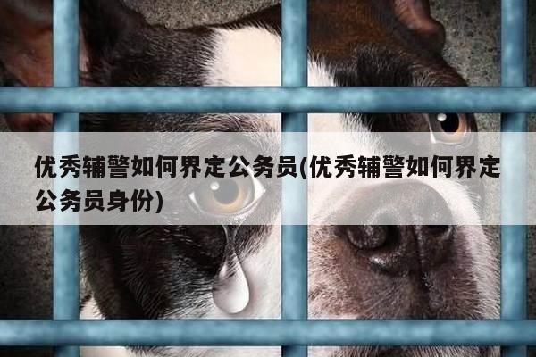 优秀辅警如何界定公务员(优秀辅警如何界定公务员身份)