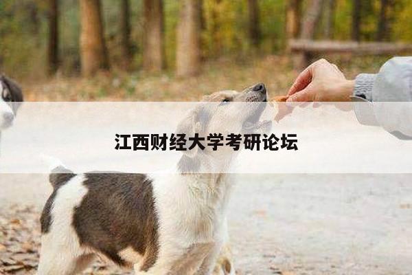江西财经大学考研论坛