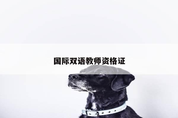 国际双语教师资格证