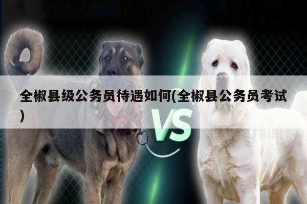 全椒县级公务员待遇如何(全椒县公务员考试)