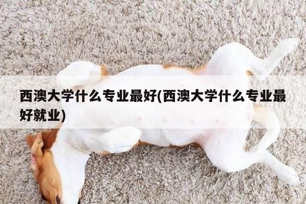 西澳大学什么专业最好(西澳大学什么专业最好就业)