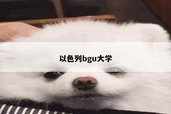 以色列bgu大学