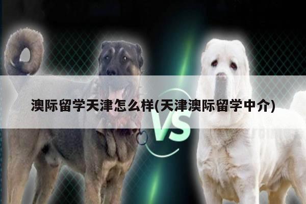 澳际留学天津怎么样(天津澳际留学中介)
